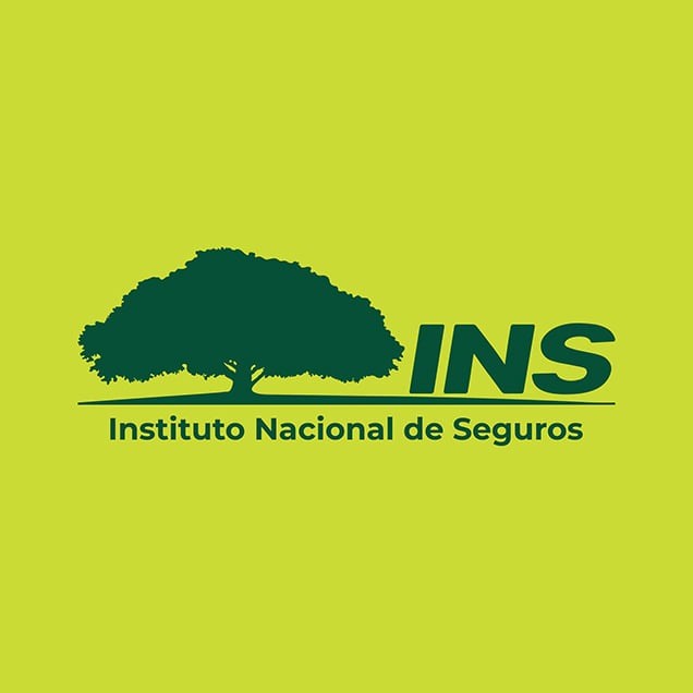 Ins Costa Rica Logo